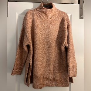 Ann Taylor Oversized L Sweater